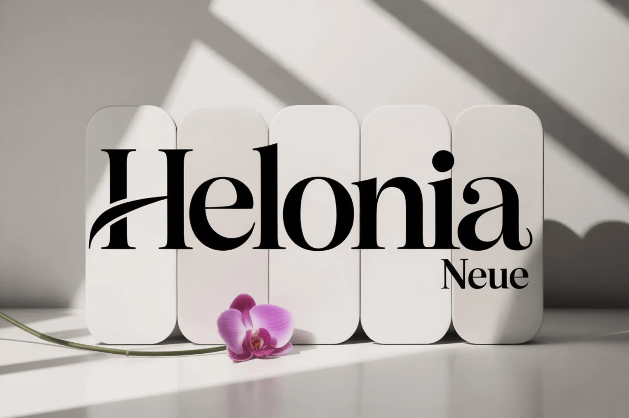 helonia neue